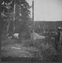 Campsite, George Eastman's Nipigon Trip