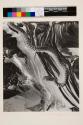 Negative of a Snake