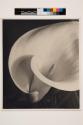 Calla