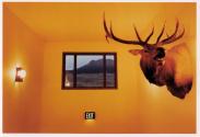 Best Western Mammoth Hot Springs, Gardiner, MT