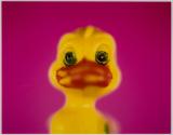 Psychotic Duck