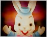 White Rabbit