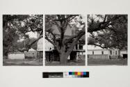 Mouton at Milne, Lakeview, New Orleans