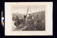 During the Reed-Harvest.