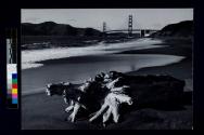 [Driftwood on the beach by the Golden Gate Bridge]