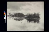 Islands - Rockland Broad