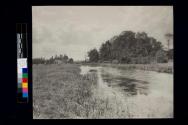 Womack Broad