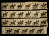 [Man in derby riding horse]