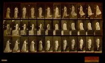 [Woman carrying cup and saucer descending steps, turning around (Plate 143 "Animal Locomotion")]