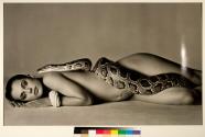 Nastassja Kinski and the Serpent