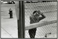 [Boy at looking through chain-link fence]