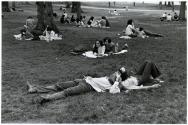 Central Park
