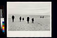 Coney Island