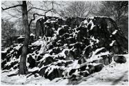 Central Park