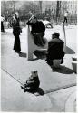Tompkins Square Park