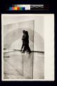 Whitney Museum