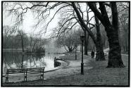 Prospect Park