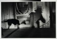 Good Dog, Lambton County, Ontario, Canada