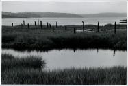 Parker Head Maine