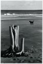 Popham Beach Maine