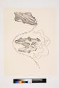 [Drawn figure with head between two cars]