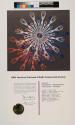 Award to J Walter Thompson for Kodak's Yesterdays commercial