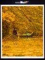 Two in a Canoe