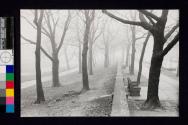 Prospect Park