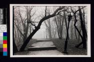 Prospect Park