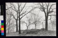 Prospect Park