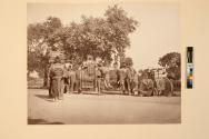 Viceroy's Elephant