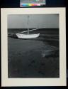Bateau En Camarque
