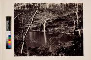 Lake Linangua [?], Walden's Ridge, 15 miles north west from Chattanooga