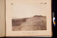Site of the proposed National Cemetery, Vicksburg, Mississippi
