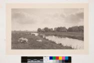 On The River Bure.