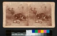 Perils of the Wilderness - A Fight for Life.