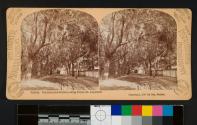 Florida - Sunshine and Shadow, King Street, St. Augustine