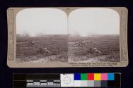 Cautiously working their way across the shell-swept plains of Picardy in the great Somme push.