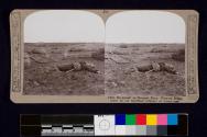 After the assault on Mouquet Farm, Thiepval Ridge, taken by our matchless infantry at heavy cost.