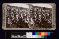 Short of ammunition, but still they press on, the true bull-dog rush of our troops at Gallipoli