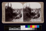 Waiting in trenches near Arras for our creeping barrage to lift before pushing on.