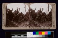 North Country troops bomb Hun machine-gunners out of their lairs in Polygon Wood.