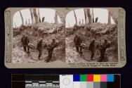 German prisoners compelled to carry our wounded during the strenuous struggle for Bourlon Wood.