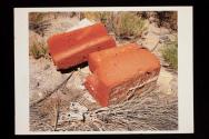 North Shore, Salton Sea, CA, 2006