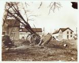Tree being installed on George Eastman's grounds
