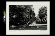 Judy Bracken in Bobbie Norfleet's Garden
