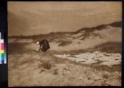 Wascherin - Dünen Landschaft [Washer - Dunes Landscape]