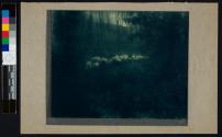 Pastoral—Moonlight