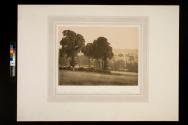 From our garden at Takelys: Epping Uplands