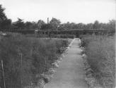 George Eastman's vegetable garden